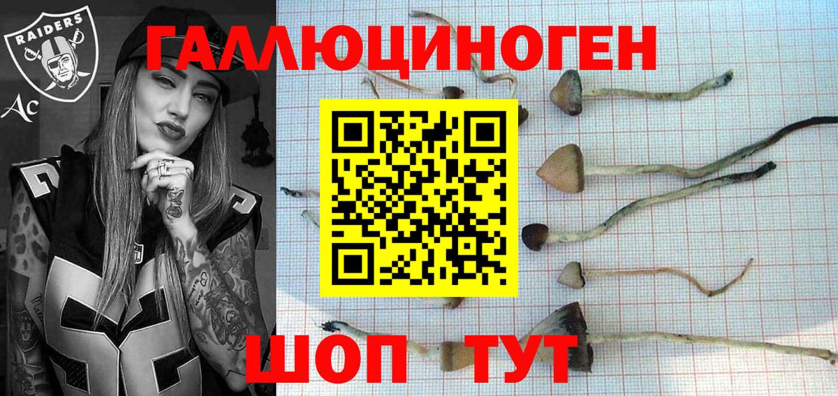 Владикавказ  Псилоцибиновые грибы Magic Shrooms  Вход с VPN 